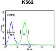 AP53271PU-N - PGP / Phosphoglycolate phosphatase