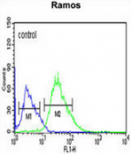 AP53291PU-N - PPP1R18 / Phostensin