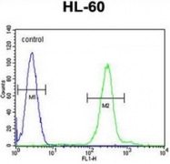AP53323PU-N - PLA2G2C