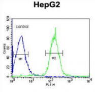 AP53326PU-N - PLA2G6