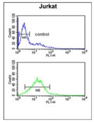 AP53332PU-N - Phospholamban