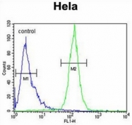AP53410PU-N - Cyclophilin C