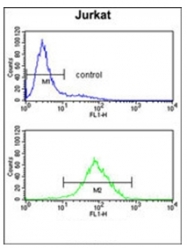 AP53413PU-N - Protein phosphatase 1H / PPM1H