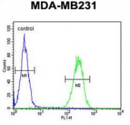 AP53470PU-N - Trypsin-3 / PRSS3
