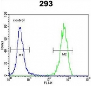 AP53503PU-N - Twinfilin-2 (TWF2)