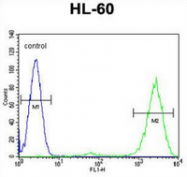 AP53504PU-N - Prothymosin alpha