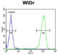 AP53526PU-N - Peroxin 2 / PEX2 / RNF72