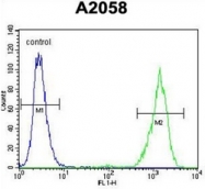 AP53534PU-N - RAB10