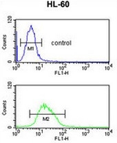 AP53698PU-N - RNASEH2C