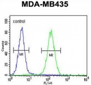 AP53955PU-N - SMYD4