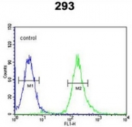 AP54089PU-N - Syntaxin 1A / STX1A