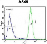 AP54123PU-N - Syncoilin