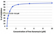 AP55043SU-N - Kanamycin