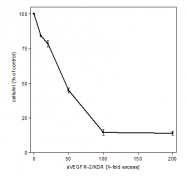 AR26018PU-N - CD309 / VEGFR-2 / Flk-1