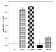 AR26018PU-N - CD309 / VEGFR-2 / Flk-1