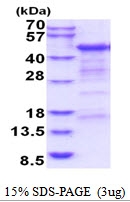 AR51840PU-N - CD4