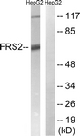 B8202-1 - FRS2