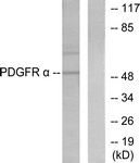 C0301-1 - Peripherin