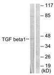 C0340-1 - TGFB1