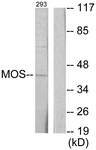 C10258-1 - MOS
