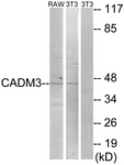 C12110-1 - CADM3