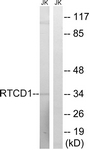 C18443-1 - RTCD1
