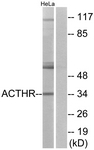 G210-1 - MC2-R