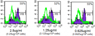 BM4007F - Macrophage F4/80 antigen