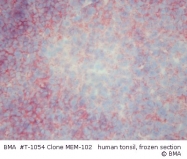 T-1054 - CD48