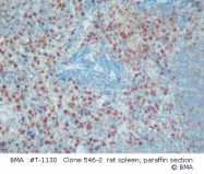 T-1130 - SCYE1 / EMAP2