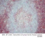 T-1364 - CD4