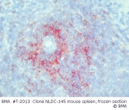 T-2013 - CD205 / DEC-205