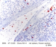 T-3105 - Granulocytes