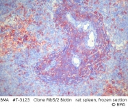 T-3123 - CD4