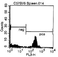 CL004BX - CD4