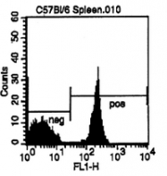 CL004F - CD4