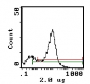 CL010P - CD8