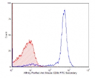 CL012P - CD8 beta