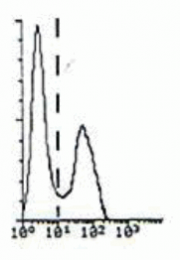DDX0060P-50 - Beta-2-microglobulin