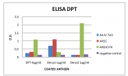 DDX0210P-50 - Peptidase 1 / DERP1