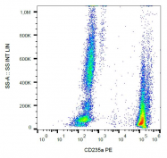 DM066P - CD235a / GYPA