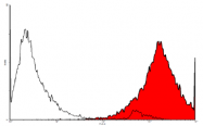 DM3500P - Podoplanin