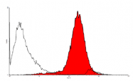 DM3511 - CD202b / TEK
