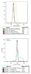 DM3522P - CD309 / VEGFR-2 / Flk-1
