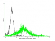 H00000135-B01P - Adenosine receptor A2a