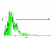 H00000154-B01P - Beta-2 adrenergic receptor