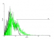 H00000155-B01P - Beta-3 adrenergic receptor
