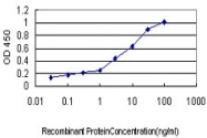 H00000710-M01 - SERPING1 / C1 Inhibitor