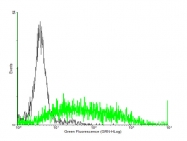 H00000719-B01P - C3a Receptor