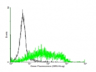 H00000969-B02 - CD69